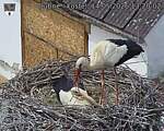 Capi_Dubne_20260514_132002.jpg