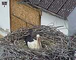 Capi_Dubne_20260514_133004.jpg