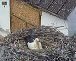 Capi_Dubne_20260514_133503.jpg