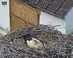 Capi_Dubne_20260514_134002.jpg