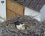 Capi_Dubne_20260514_134502.jpg