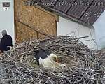 Capi_Dubne_20260514_141003.jpg