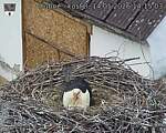 Capi_Dubne_20260514_141503.jpg