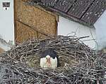Capi_Dubne_20260514_142003.jpg