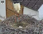 Capi_Dubne_20260514_145003.jpg