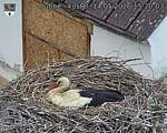 Capi_Dubne_20260514_152003.jpg