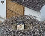 Capi_Dubne_20260514_155504.jpg