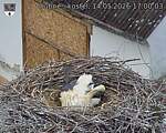 Capi_Dubne_20260514_170003.jpg
