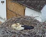 Capi_Dubne_20260514_181004.jpg