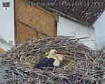 Capi_Dubne_20260514_182003.jpg
