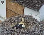 Capi_Dubne_20260514_183002.jpg