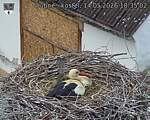 Capi_Dubne_20260514_183502.jpg