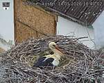 Capi_Dubne_20260514_184002.jpg