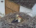 Capi_Dubne_20260514_184503.jpg
