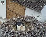 Capi_Dubne_20260514_193004.jpg