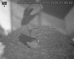 Capi_Dubne_20260514_214002.jpg