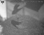 Capi_Dubne_20260514_220002.jpg
