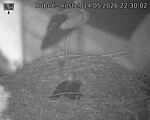 Capi_Dubne_20260514_223002.jpg