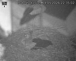 Capi_Dubne_20260514_223503.jpg