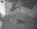 Capi_Dubne_20260514_224002.jpg