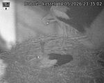 Capi_Dubne_20260514_233502.jpg