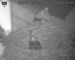 Capi_Dubne_20260515_011003.jpg