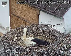 preload