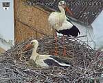 Capi_Dubne_20260515_074003.jpg