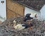 Capi_Dubne_20260515_090003.jpg