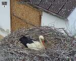 Capi_Dubne_20260515_094503.jpg