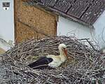 Capi_Dubne_20260515_095503.jpg