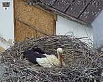 Capi_Dubne_20260515_113002.jpg