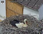 Capi_Dubne_20260515_113503.jpg