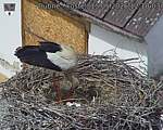 Capi_Dubne_20260515_121003.jpg