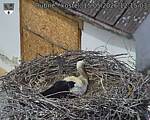 Capi_Dubne_20260515_121503.jpg