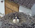 Capi_Dubne_20260515_135503.jpg