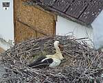 Capi_Dubne_20260515_150503.jpg
