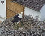 Capi_Dubne_20260515_152002.jpg
