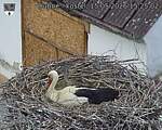 Capi_Dubne_20260515_152502.jpg