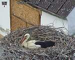 Capi_Dubne_20260515_153003.jpg
