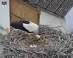 Capi_Dubne_20260515_162003.jpg