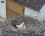 Capi_Dubne_20260515_163502.jpg