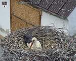 Capi_Dubne_20260515_170003.jpg