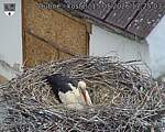 Capi_Dubne_20260515_172503.jpg