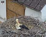 Capi_Dubne_20260515_174503.jpg