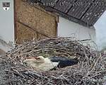 Capi_Dubne_20260515_191503.jpg