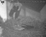 Capi_Dubne_20260515_212503.jpg