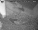 Capi_Dubne_20260515_223002.jpg