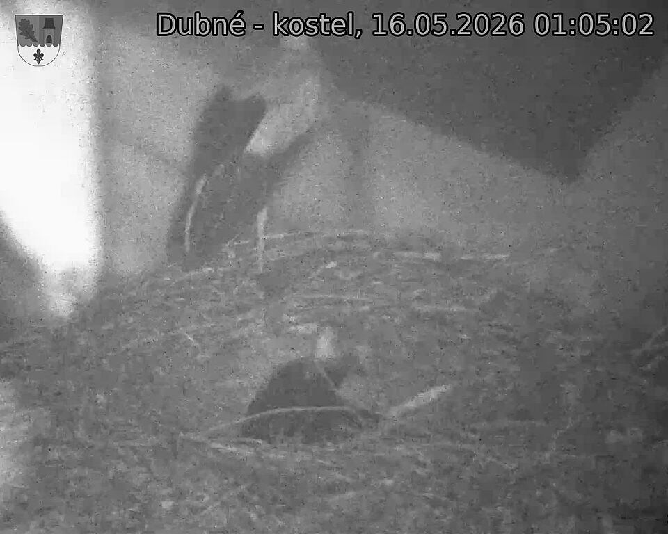 Capi_Dubne_20260516_010502.jpg (1350&nbsp;x&nbsp;1080)