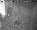 Capi_Dubne_20260516_013503.jpg